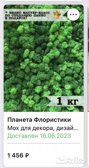 Стабилизированный мох