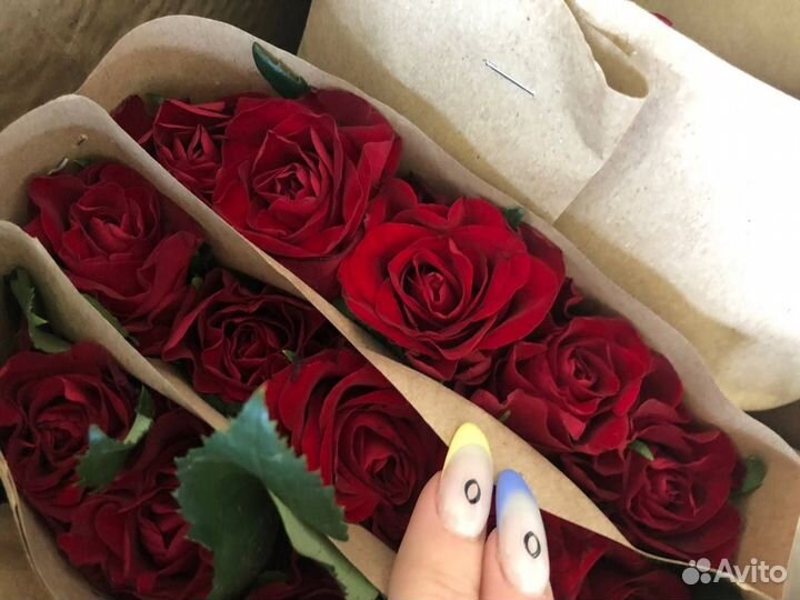 Букет свежих голландских роз