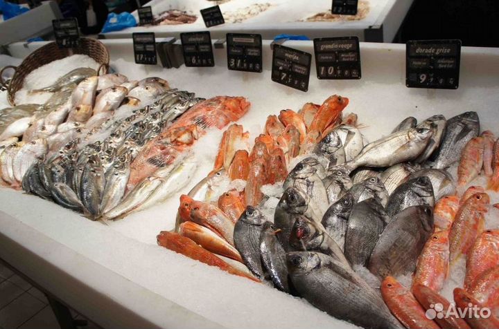 Франшиза рыбного магазина в центре города