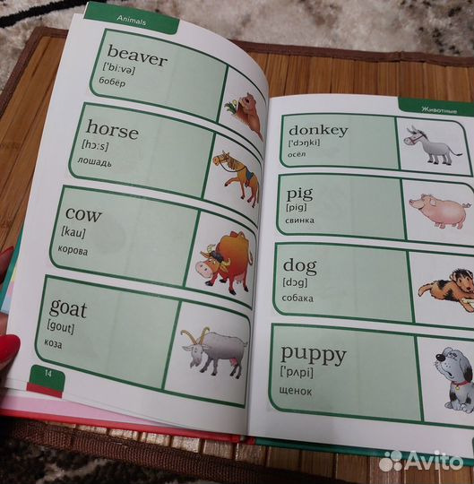 Иллюстрированный словарь английского для детей