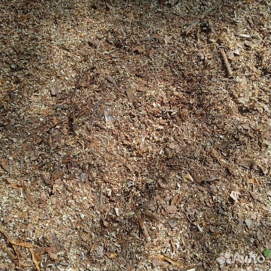 Мульча(сосновая кора)