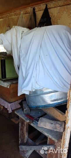 Пчелы и улья