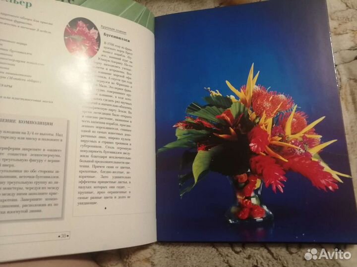 Книги по флористике