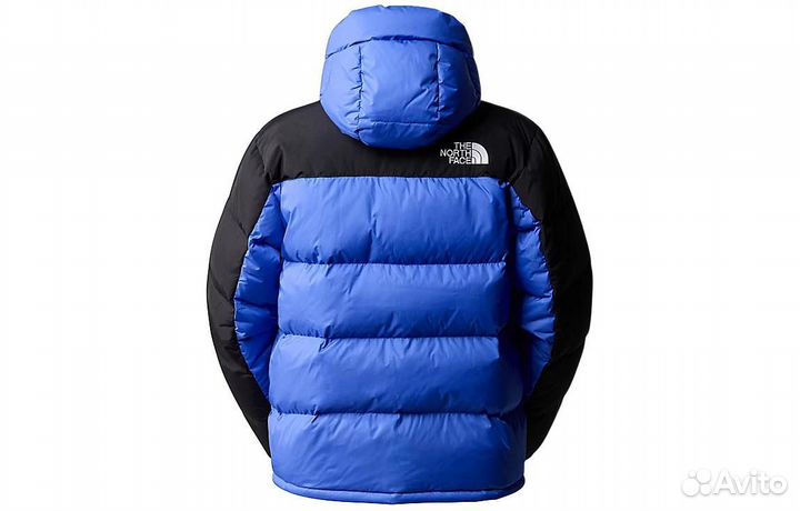 THE north face Urban Exploration Down Jacket Men Blue (M)(32)