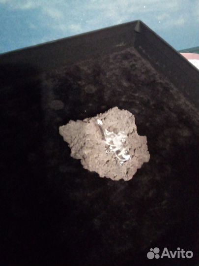 Стеклянный слоненок на лаве Этны, рыбка, собака