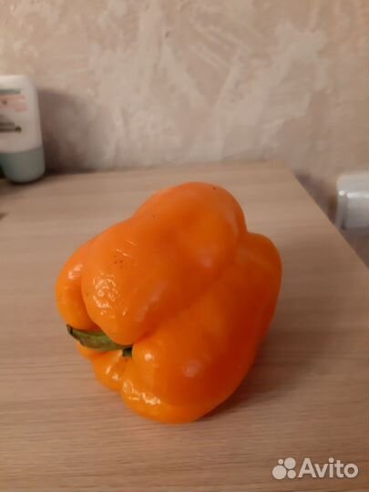 Семена сладкого перца 