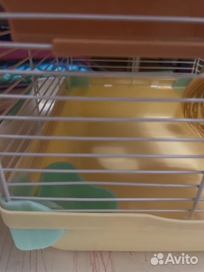 Клетка для джунгарского хомяка