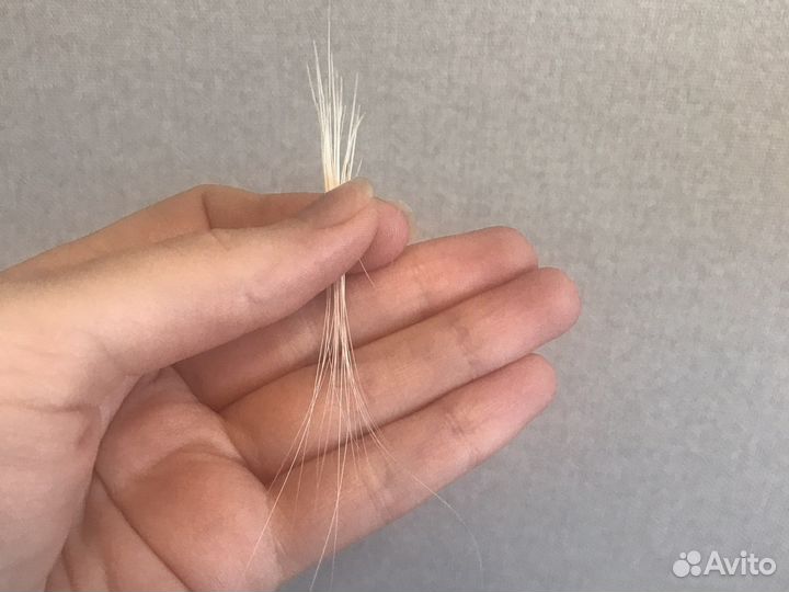 Кошачьи усы вибриссы для рукоделия