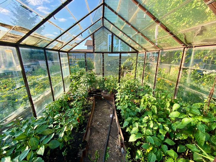 Дача 40,9 м² на участке 6 сот.