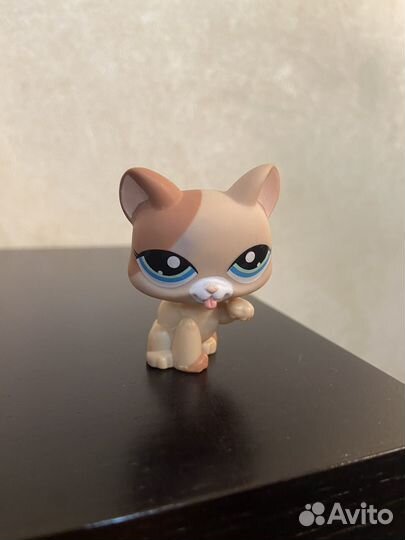 Littlest Pet Shop Cat