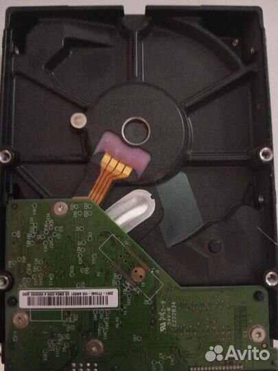 Жесткий диск 500 гб для пк