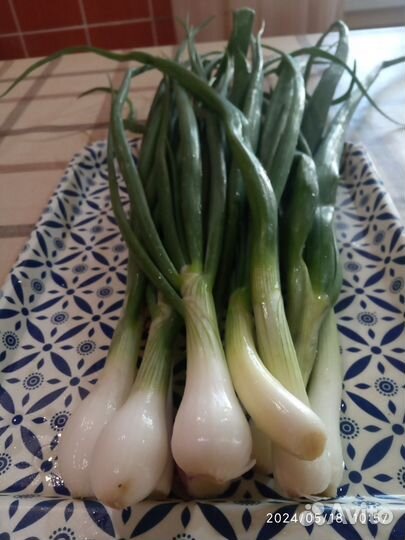 Зелень лука и чеснока с репкой