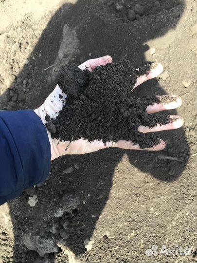 Чернозем земля