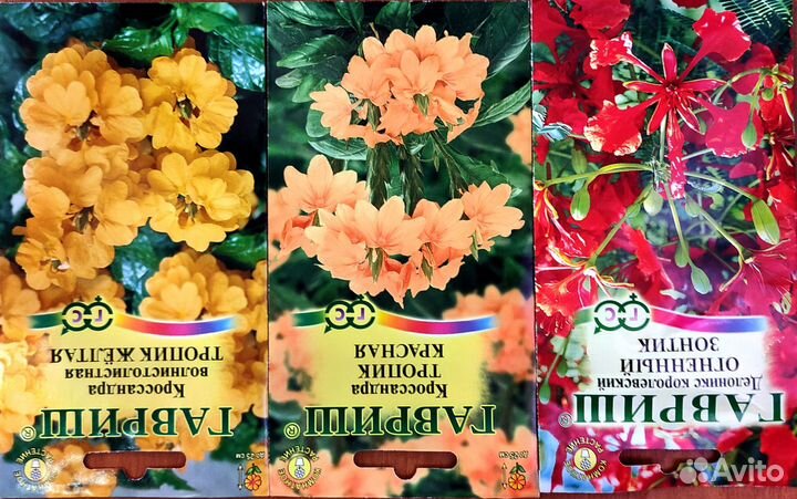 Семена комнатных растений