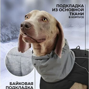 Жилетка для собак