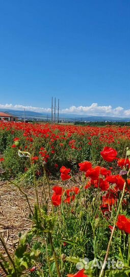 Индивидуальные экскурсии