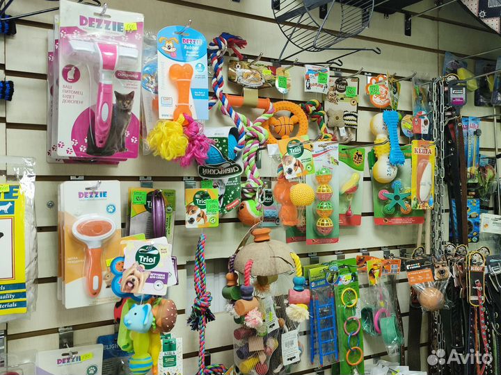 Одежда и аксессуары для ваших питомцев