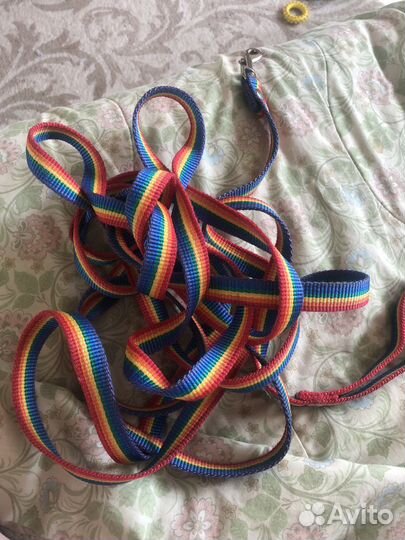 Амкниция для собак