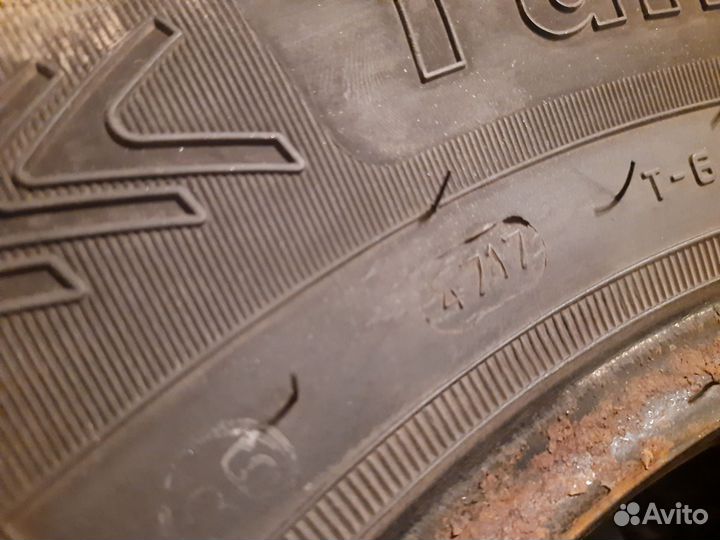 Cordiant Polar 205/70 R15 96