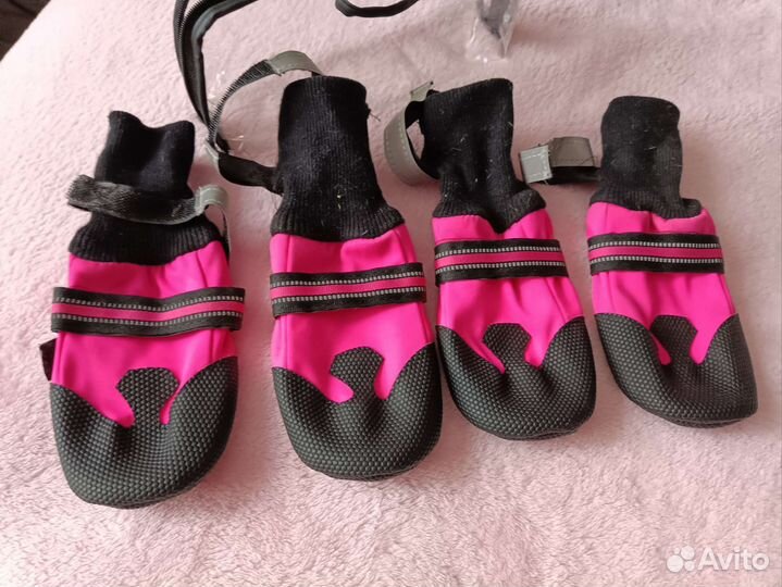 Ботинки для собак