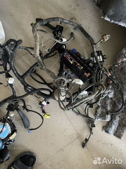 Проводка гранта фл