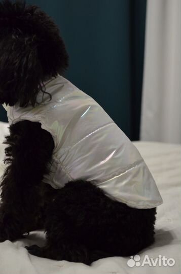 Жилетки для маленьких собак