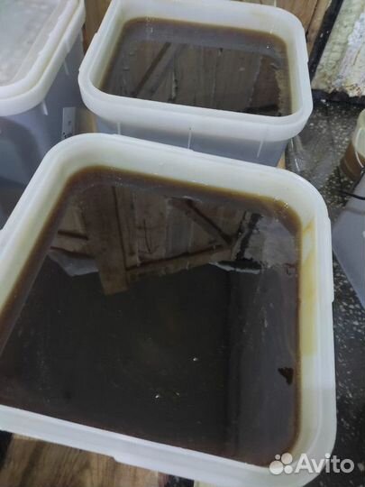 Таёжный мёд оптом