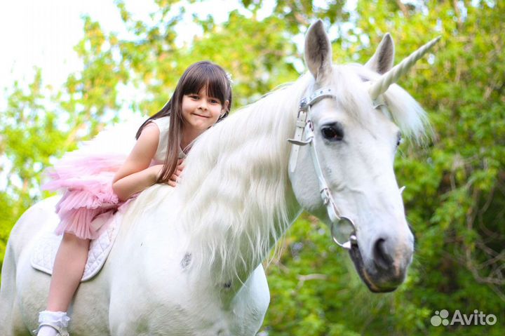 Пони, лошади и единороги на детские праздники