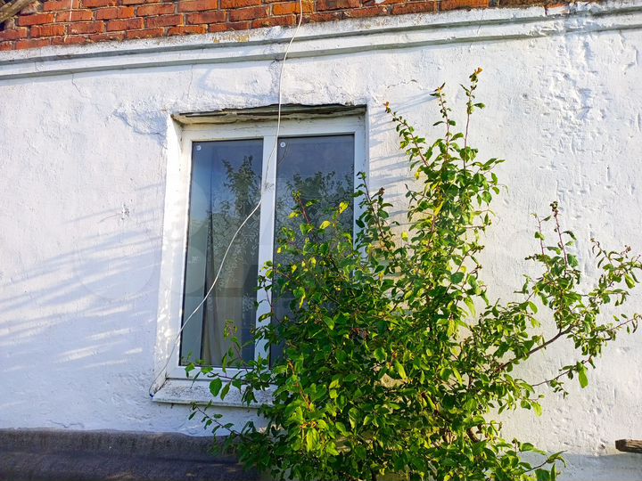 1-к. квартира, 30,2 м², 1/1 эт.