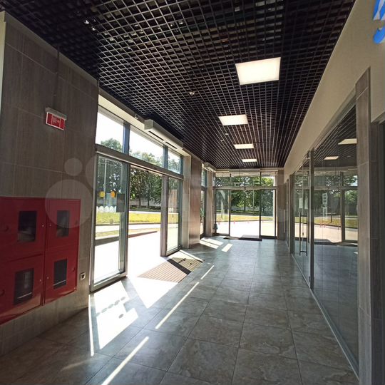 Торговая площадь, 197.2 м²