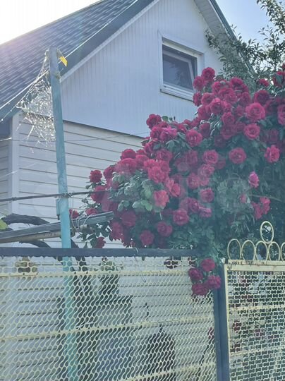 Дача 50 м² на участке 4,1 сот.