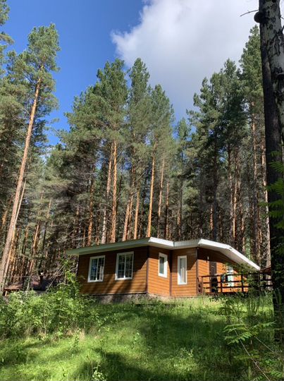 Дом 58,6 м² на участке 11 сот.