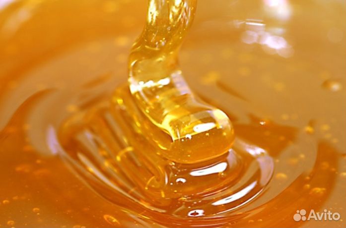 Мед натуральный с Алтая опт от 16кг