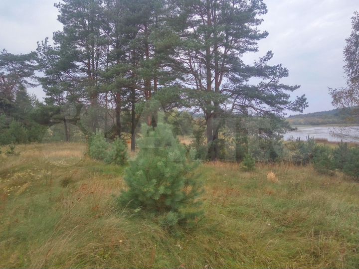 Участок 4 га (СНТ, ДНП)