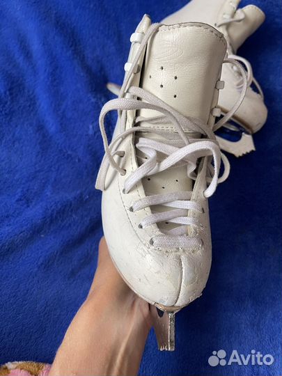 Фигурные коньки edea overture 200