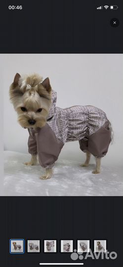 Дождевик для средней собаки