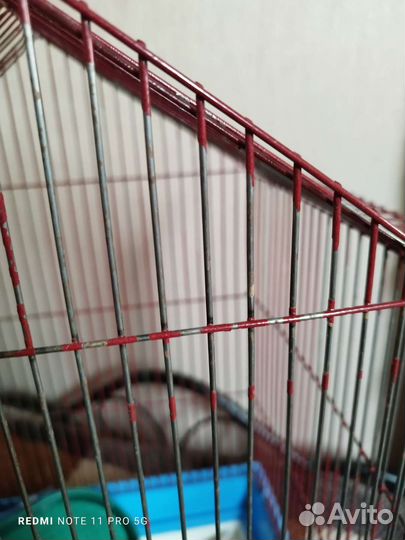 Клетка для птиц