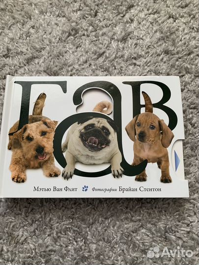 Детская книга гав Мэтью Ван Флит