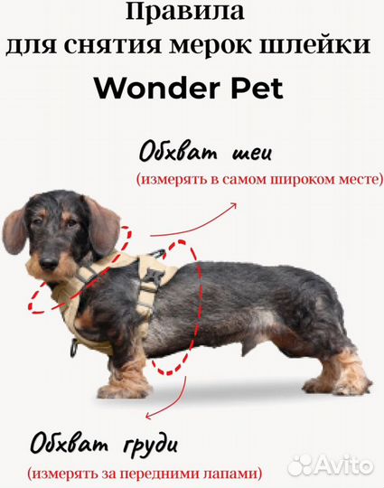 Шлейка прогулочная Wonder Pet / S / бежевая