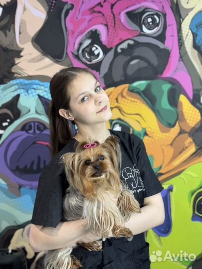 Услуги грумера