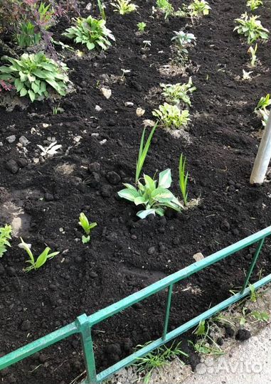 Чернозём. Земля плодородная. Торфосмесь готовая