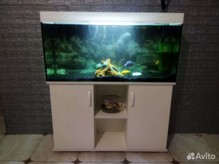 Аквариум