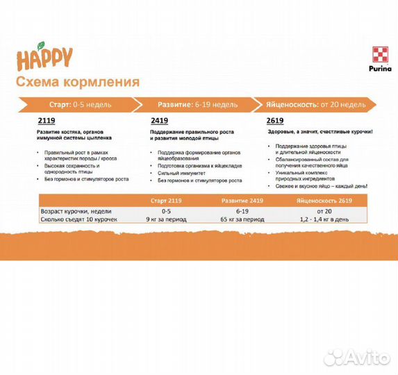 Комбикорм и бвмк для Кур-Несушек Пурина