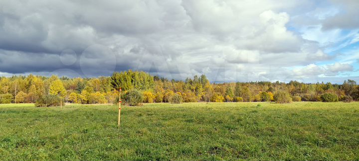 Участок 10 сот. (ИЖС)