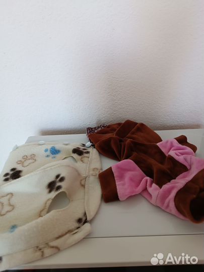 Вещи для маленьких собак