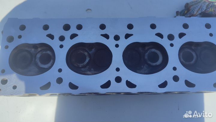 Гбц на сотку эвотек