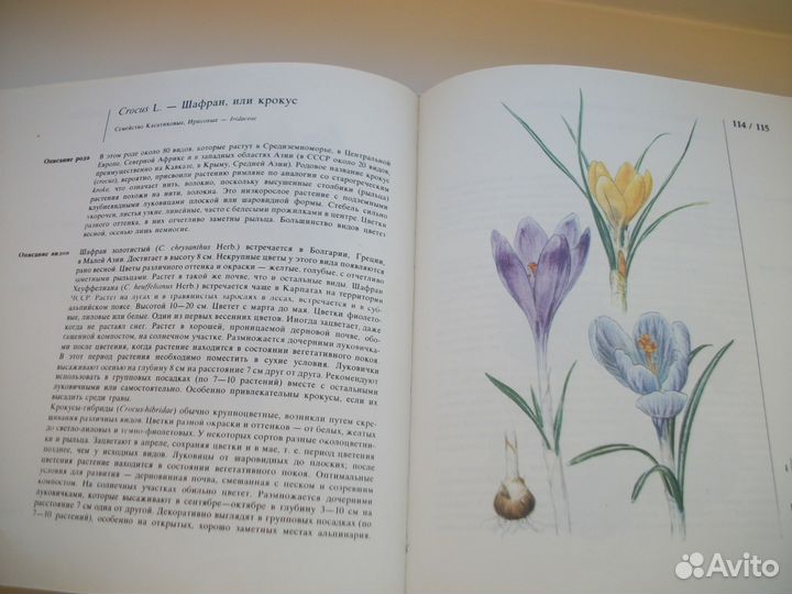 Книги по садоводству