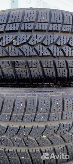Tigar Winter 1 195/55 R16