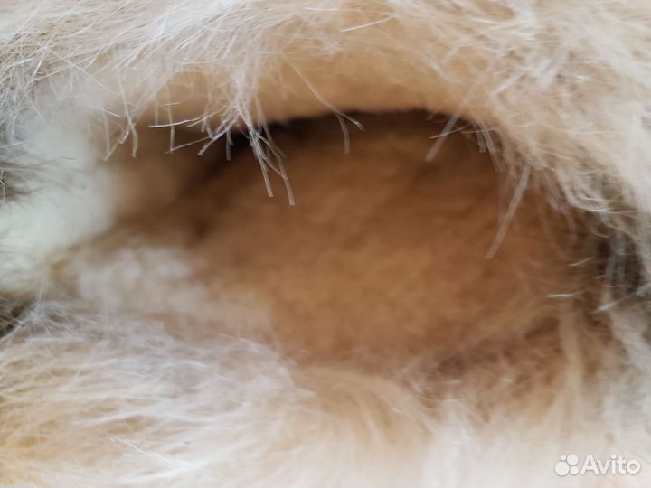 Сапоги для девочки, размер 37