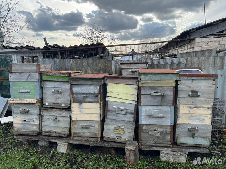 Ульи для пчел